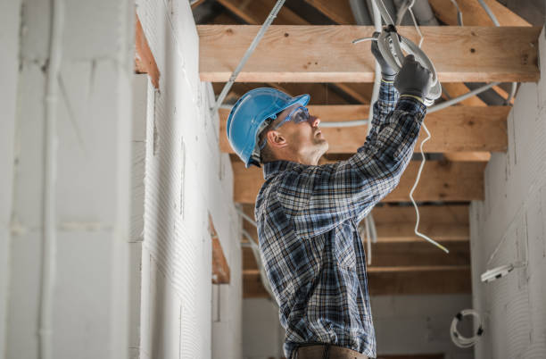 Best Electric Panel Repair  in Meadowbrook, AL